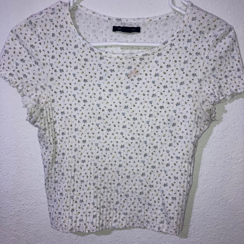 American eagle crop top